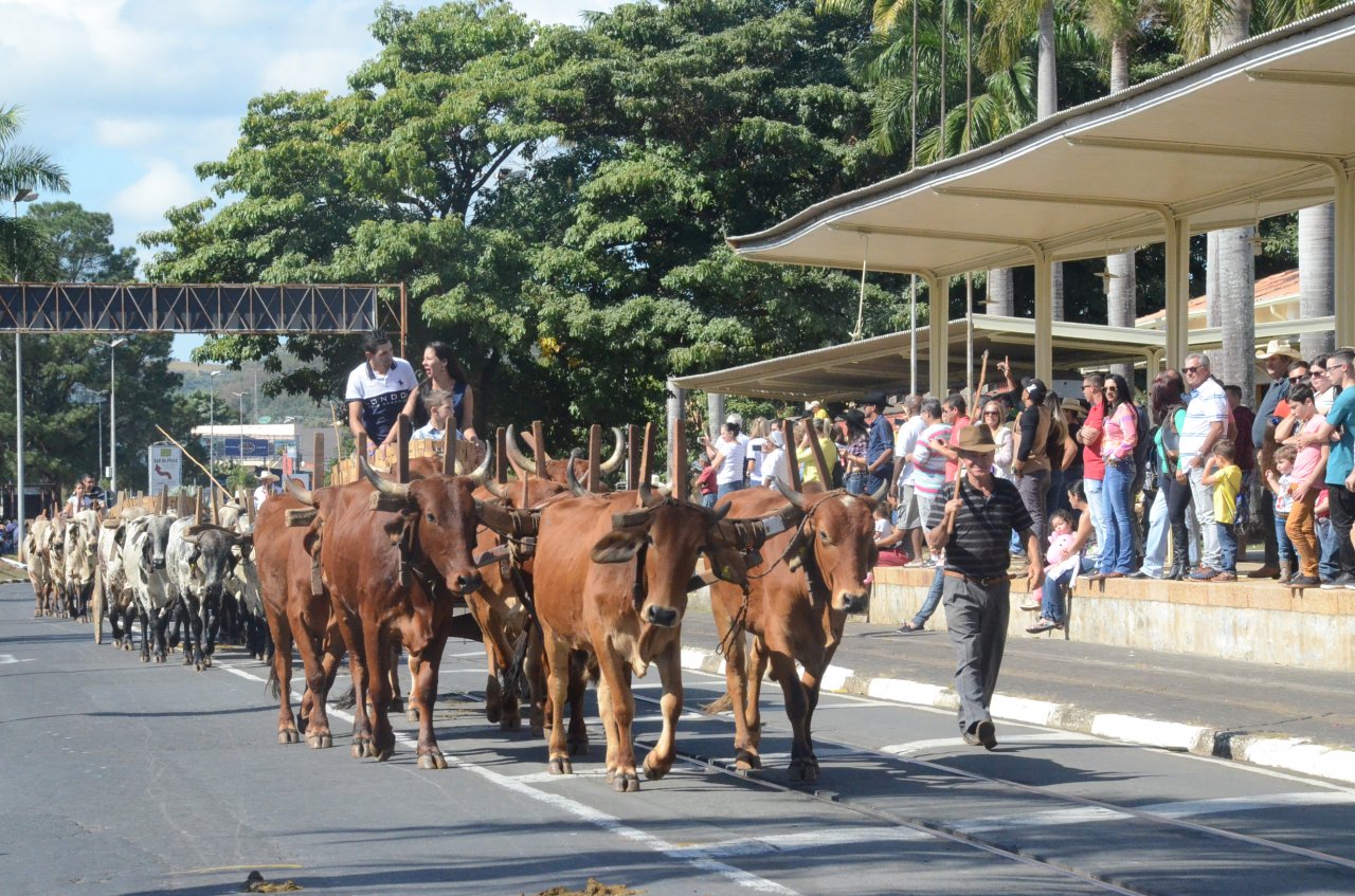 Cavalaria Antoniana será realizada no próximo dia 11 de junho