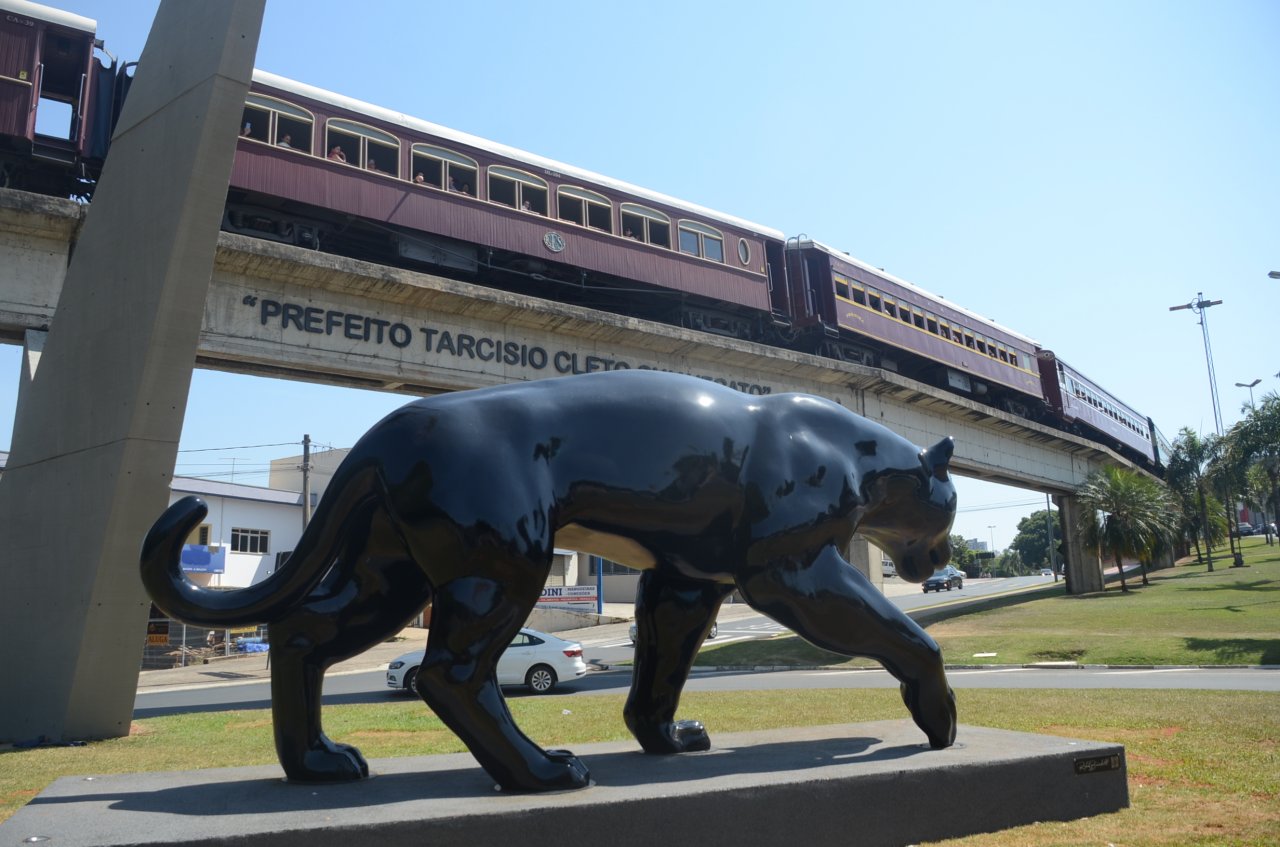 Foto d a impresso que a escultura da ona caminho do lado trem (Foto Gislaine Mathias)