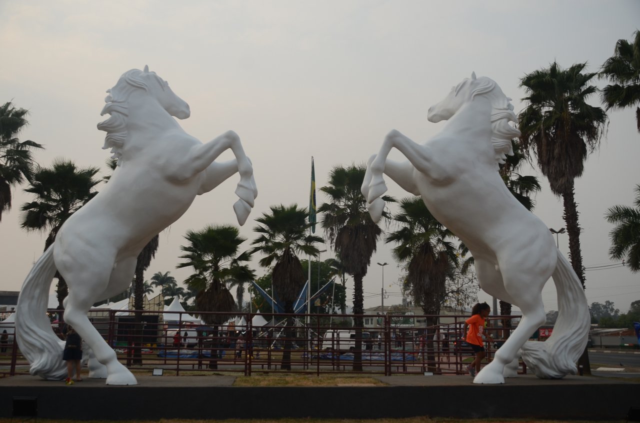 Escultura Cavalos Brancos foi inaugurada prxima do Hospital de Jaguarina (Foto Gislaine Mathias)