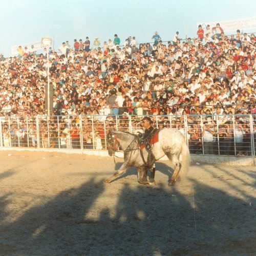 Campo do Padre lotado para apresentao do Rodeio de Jaguarina (Acervo Casa da Memria) 